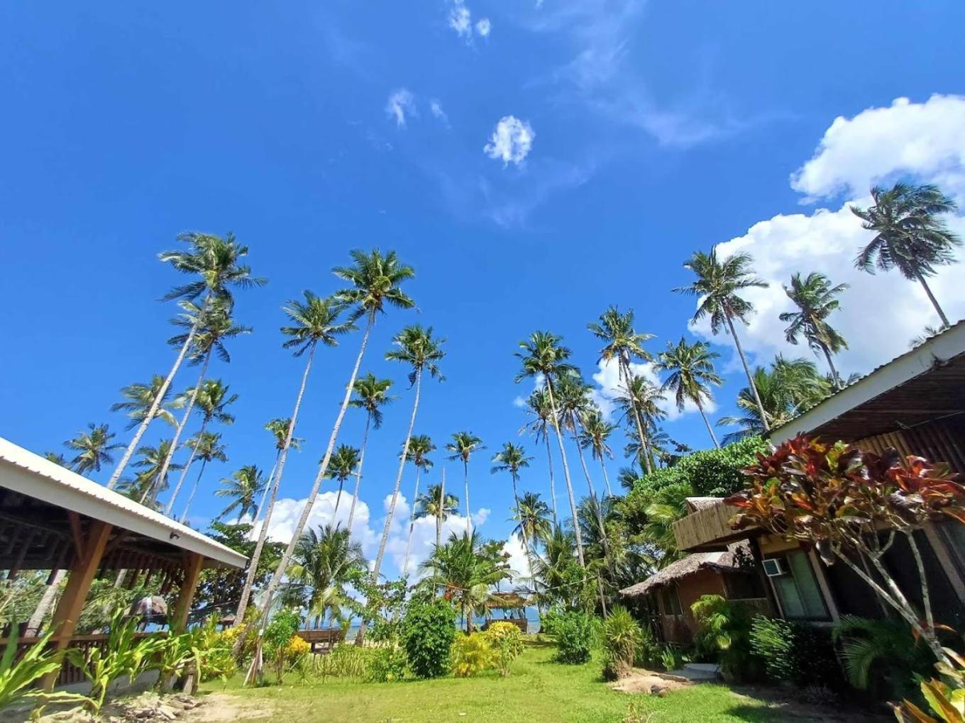 Amihan Beach Hostel Сан-Висенте Экстерьер фото