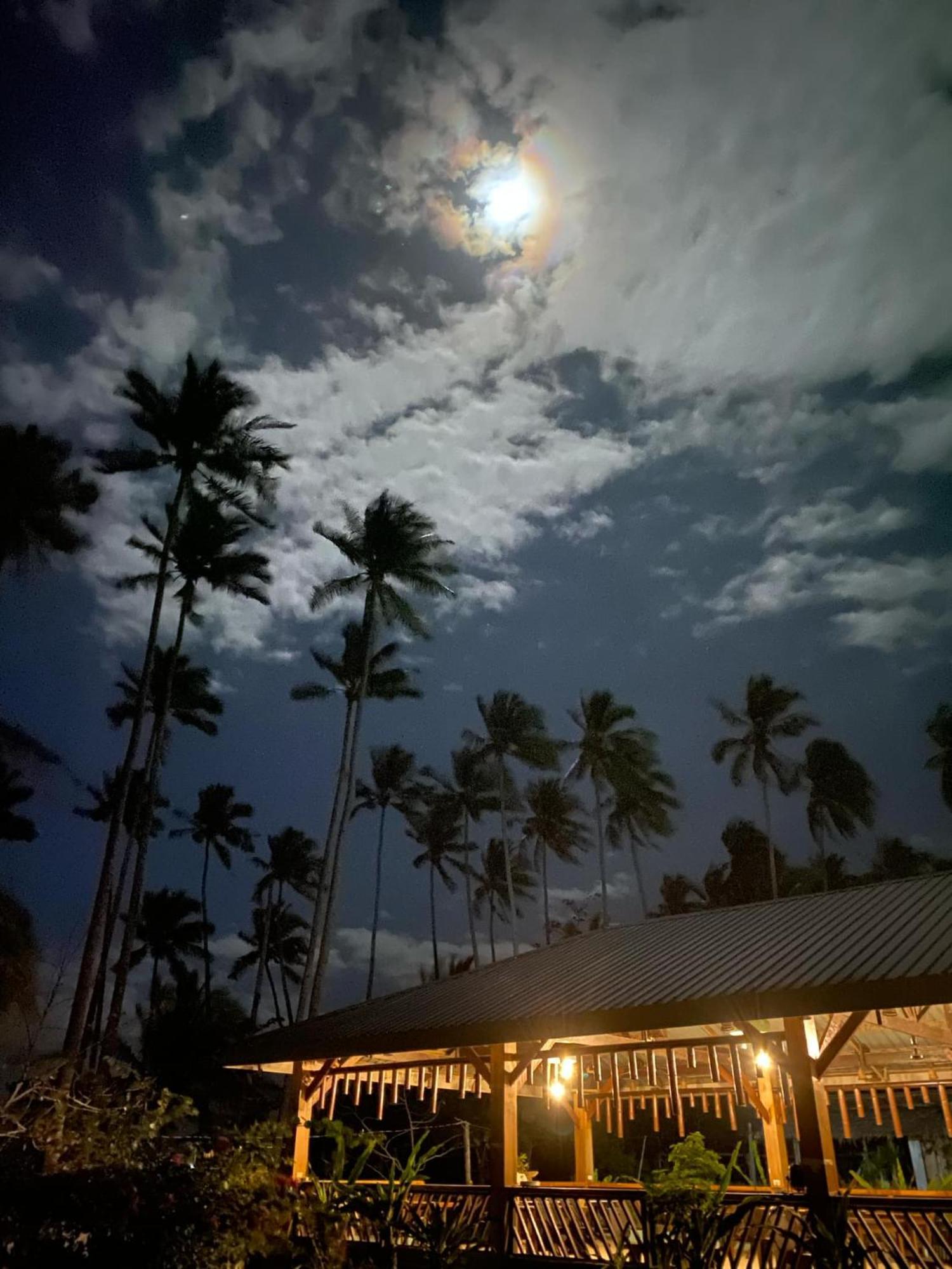 Amihan Beach Hostel Сан-Висенте Экстерьер фото